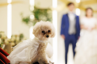 大切な家族と撮影