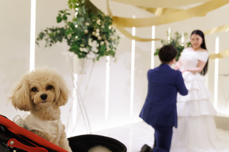 いつでもカメラ目線!!