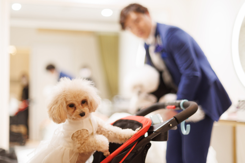 お二人のお支度中から撮影に入らせていただきます!