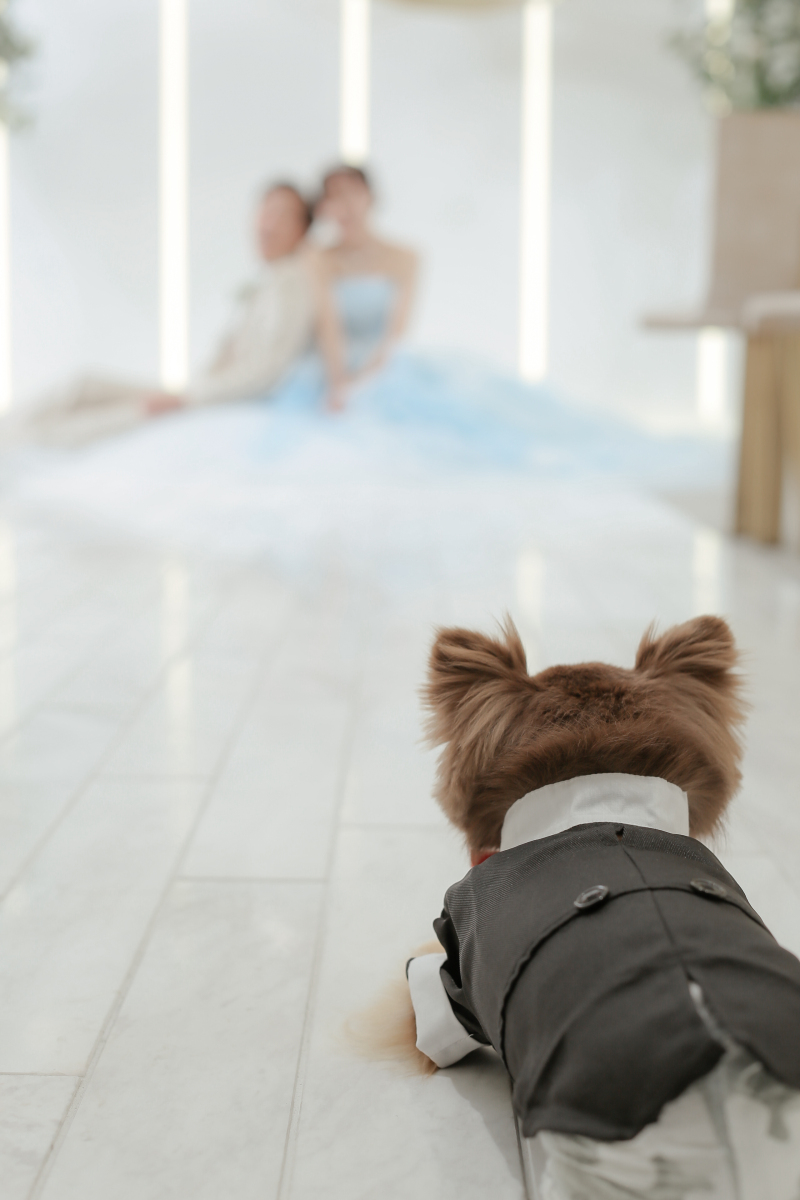 撮影中はチャペル内で伸び伸びと過ごしてもらいます。