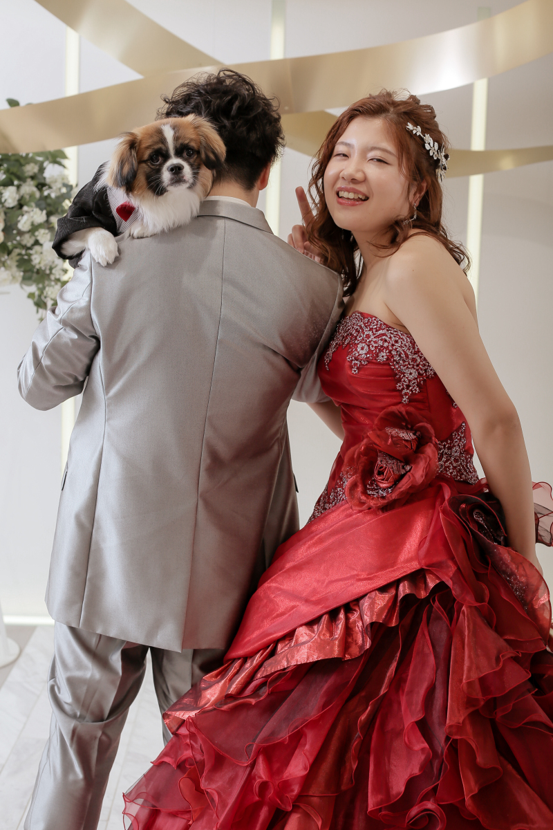 ワンちゃん以外ももちろんOK