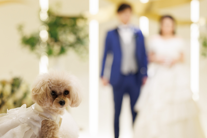 ペットにピントを合わせることも!!