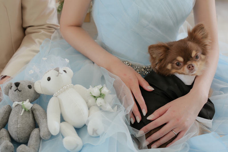 ペットを膝の上や抱っこしたして撮影可能です!