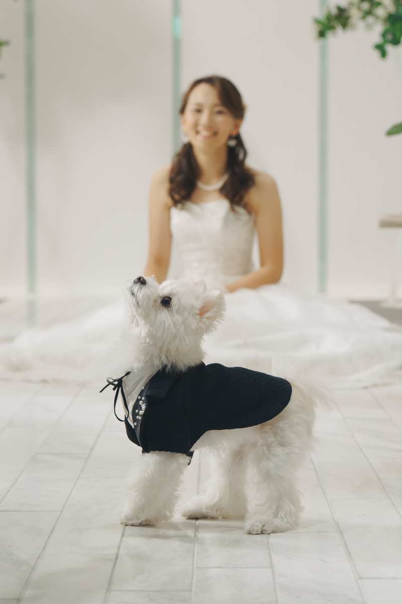 大切なペットと一緒に