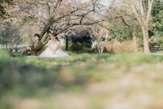 紡ぎたい今を大切に切り取ります