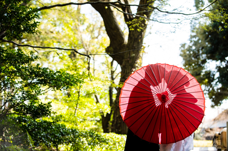 和傘シルエット