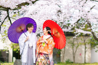 徳川園　桜シーズンの和装ロケーション