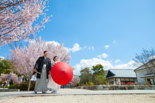 徳川園　桜ロケーション