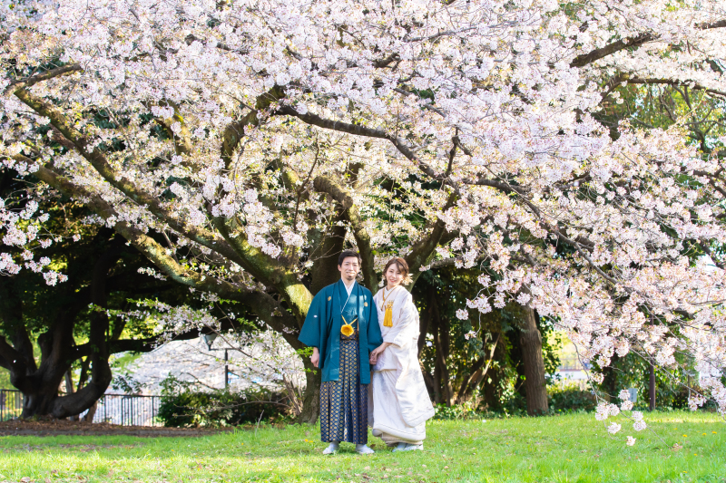 桜ロケ+和室スタジオ