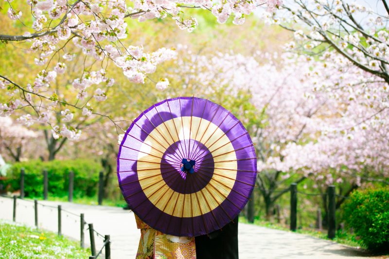 和傘シルエット