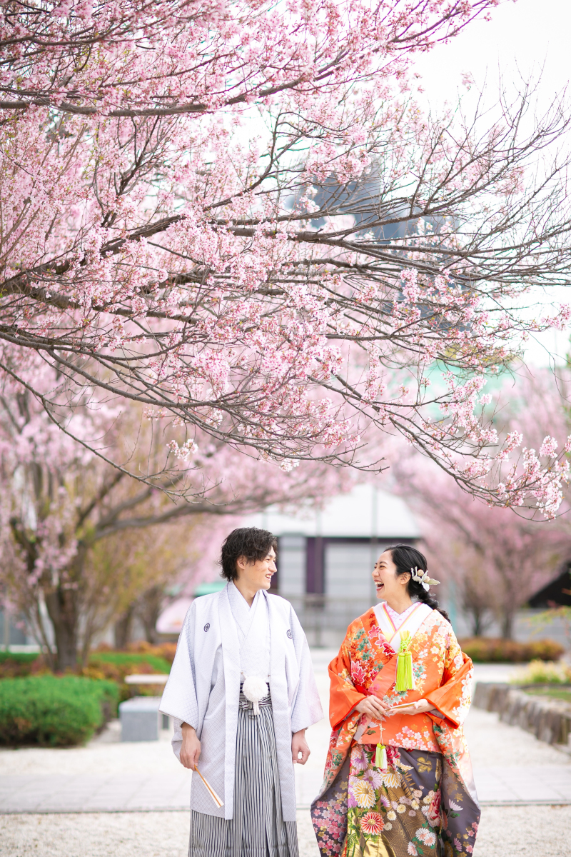 トウカイザクラ