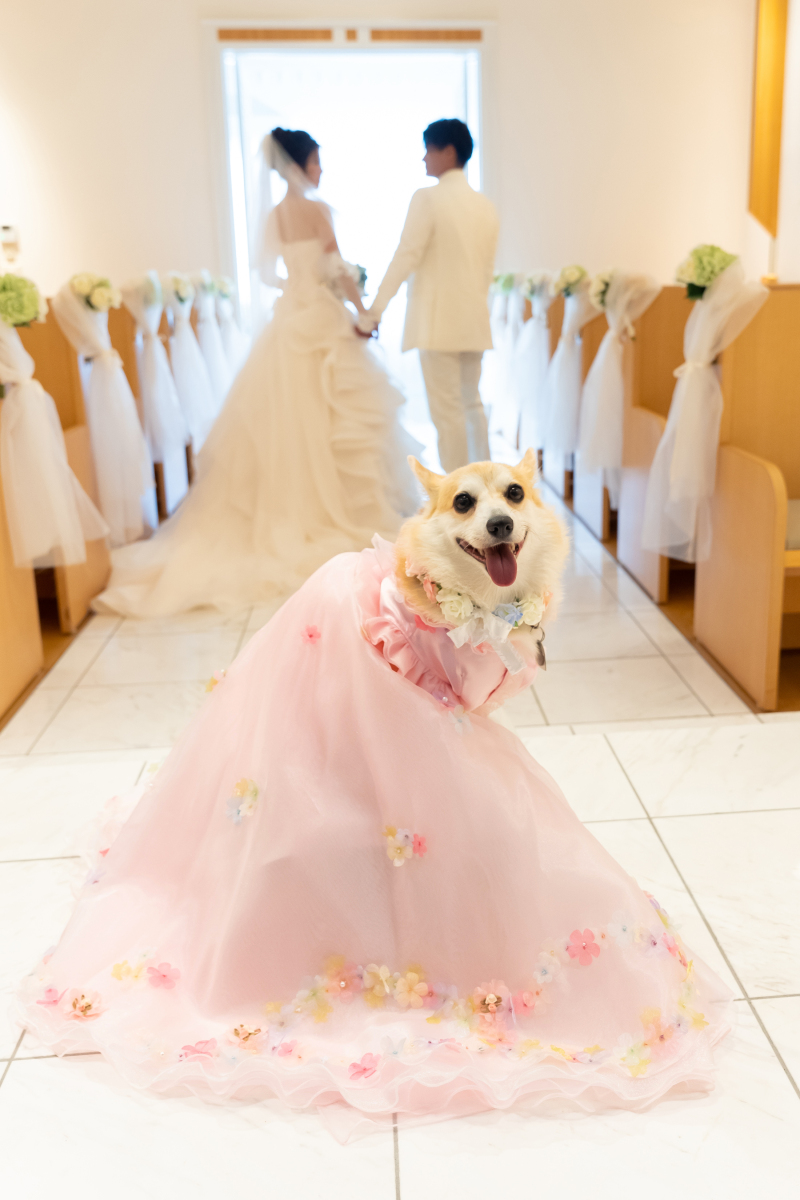 チャペルでもペットと撮影