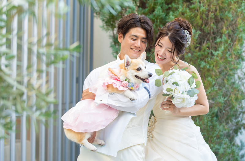 サンライズ・デジタル_ペットと一緒に撮影できる