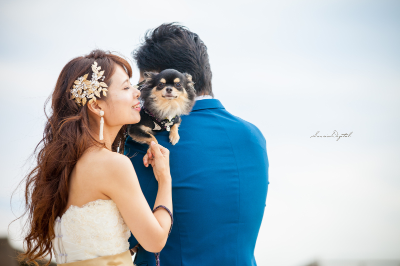 サンライズ・デジタル_ペットと一緒に撮影できる