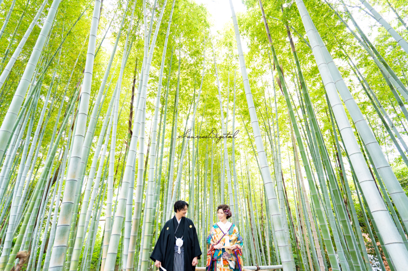 名古屋市内の移動費は無料で、ロケ車も当方で無料手配