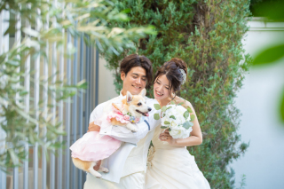 サンライズ・デジタル