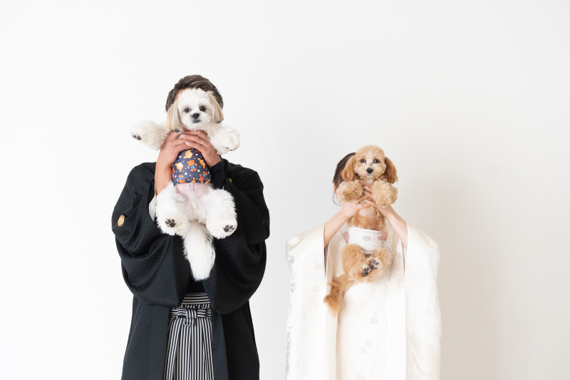 サンライズ・デジタル