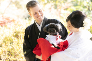 サンライズ・デジタル