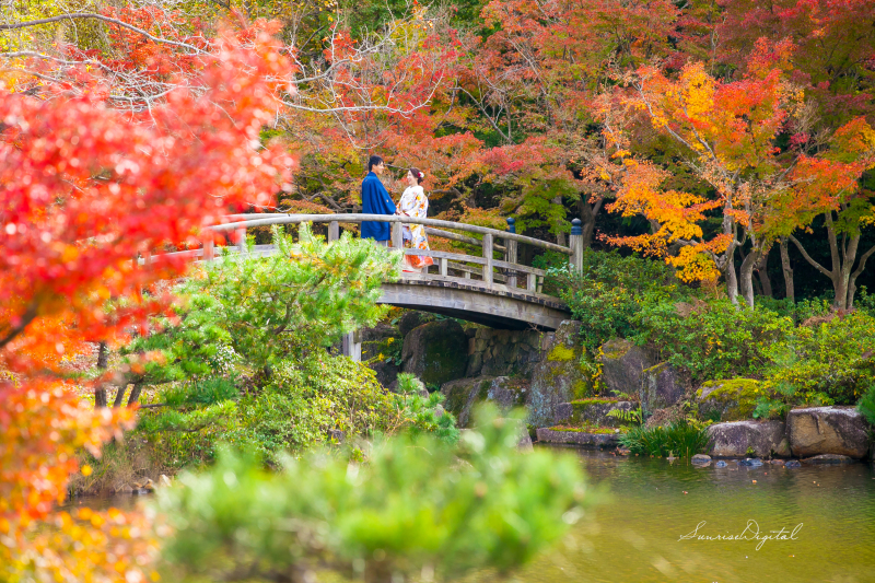 サンライズ・デジタル_庭園で撮影できる