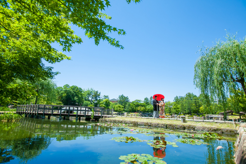 徳川園の庭園で季節を感じる