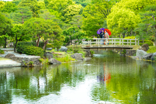 サンライズ・デジタル_【白鳥庭園】和装ロケ