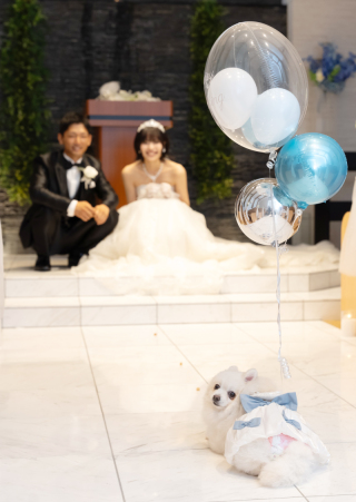 サンライズ・デジタル