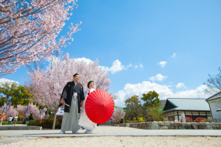 ２組限定！徳川園での桜ロケーションフォト