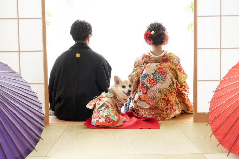 【ペットと一緒に和装スタジオ撮影】和室スタジオ　必要な項目が全てコミコミの安心プラン　１着150cutデータ付