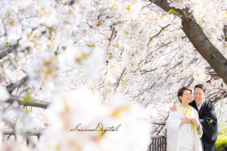 サンライズ・デジタル