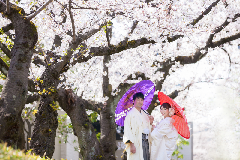 4/1(水)、4/2(木)撮影限定！　徳川園　桜満開♪　和装ロケーション　総額￥121，000