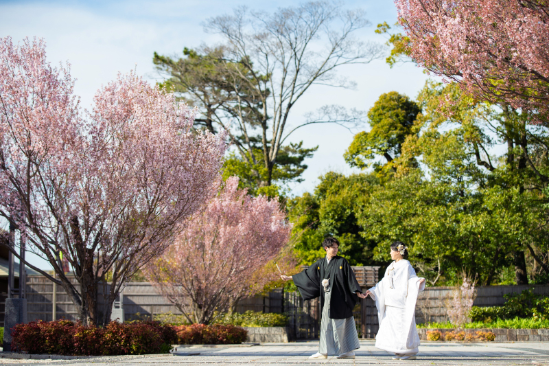 3-4月撮影　春ロケキャンペーン【和装ロケーション】100cutデータ付き　衣装ランクアップ料金なし・移動費なし