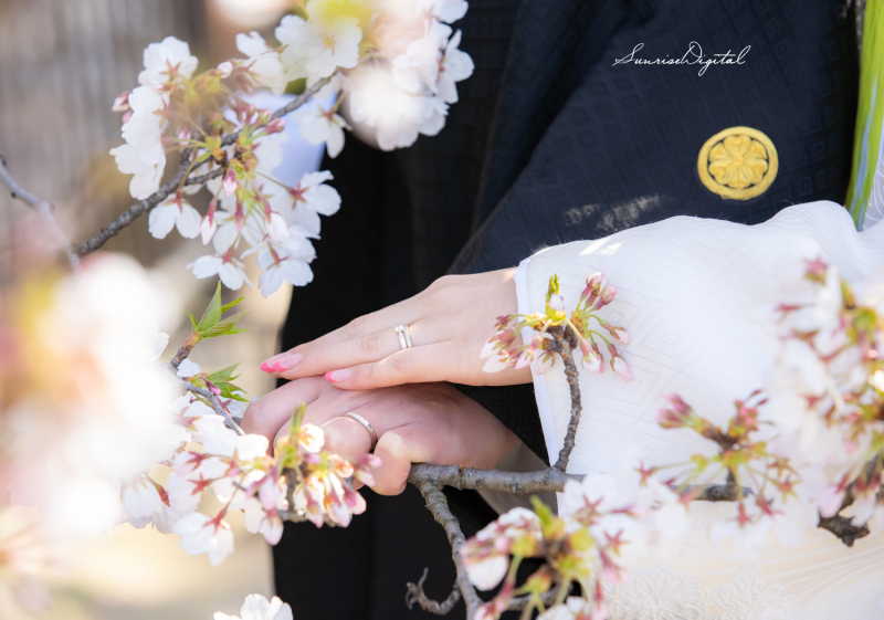 3-4月撮影　春ロケキャンペーン【和装ロケーション】100cutデータ付き　衣装ランクアップ料金なし・移動費なし