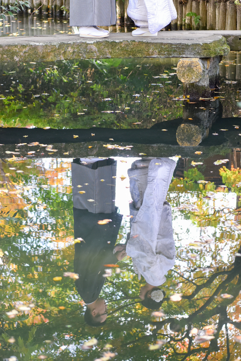 お池にも・・・