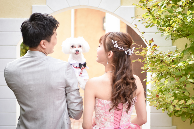 撮影スタート！