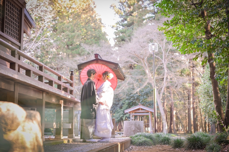 光に照らされて