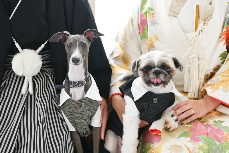 ワンちゃんメイン…♡