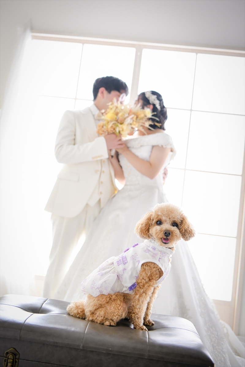 ワンちゃんメイン…♡