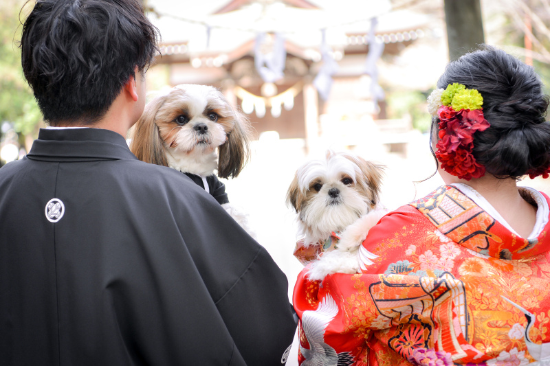 大切なペットと