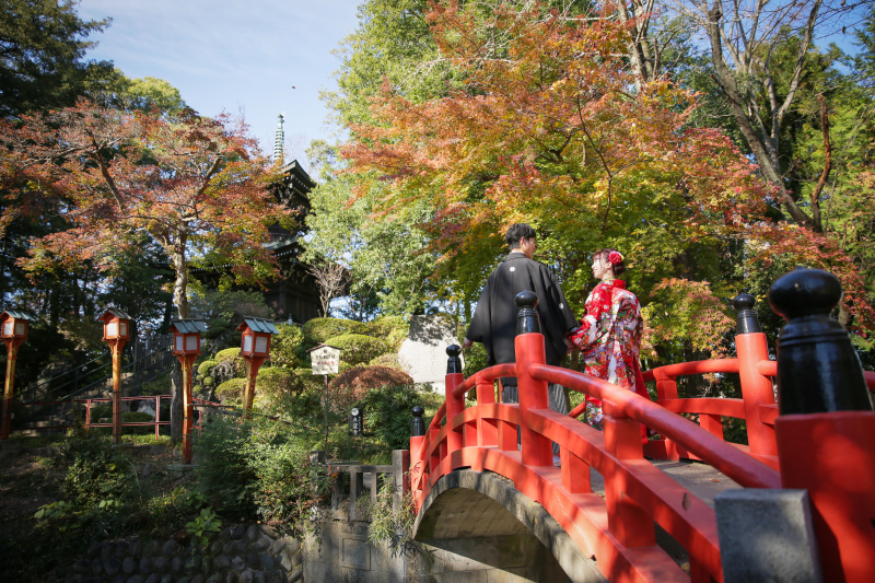 敷地内にある五重塔も人気のスポット!
