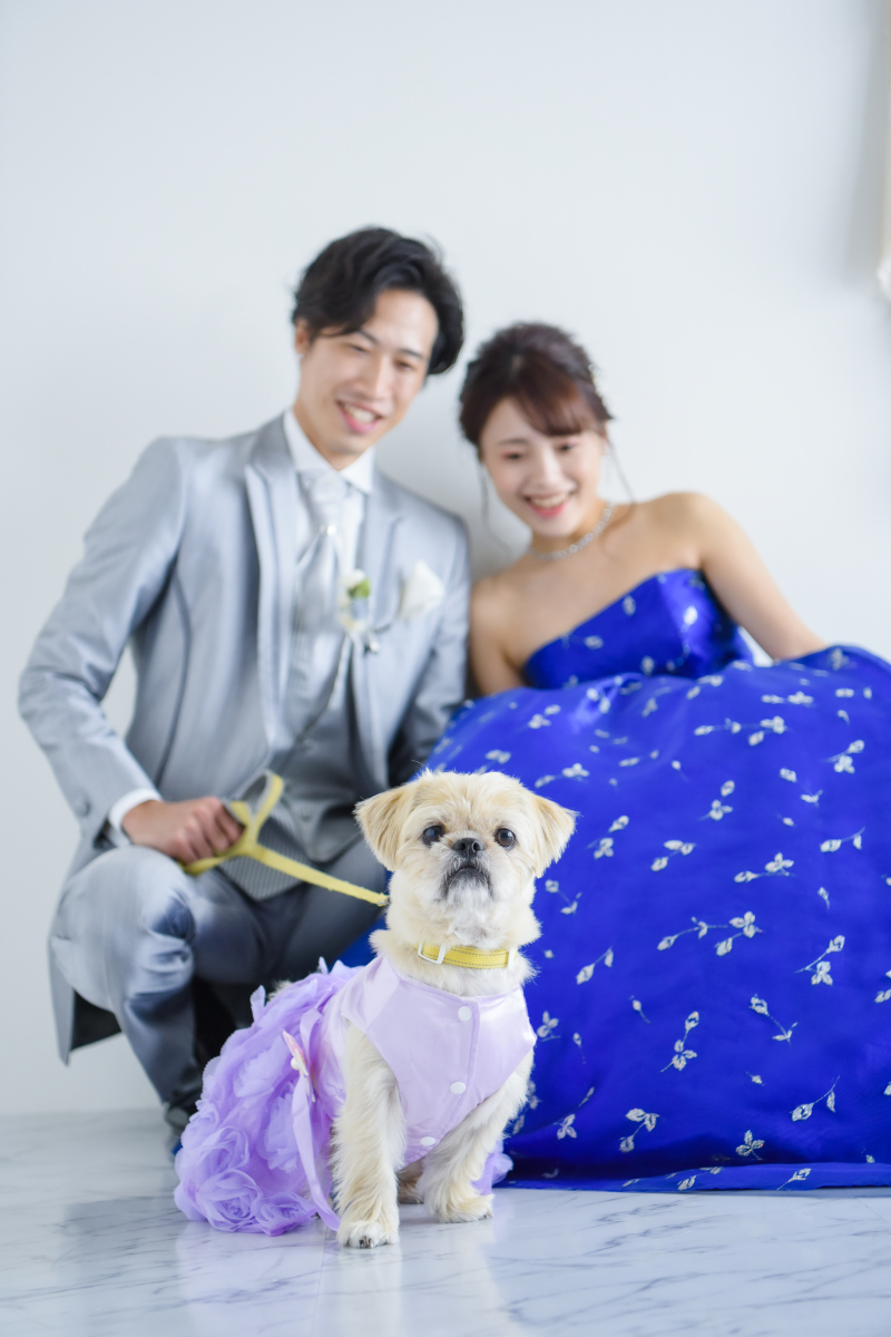 お二人の前にお座りで・・・