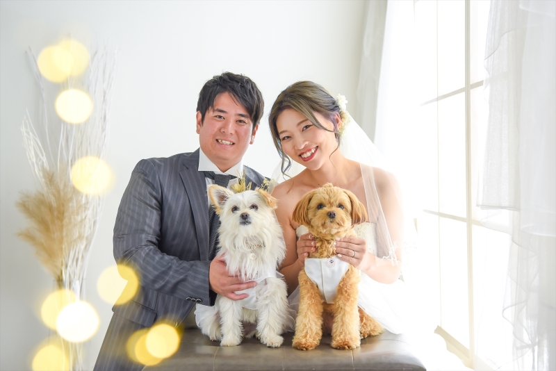 和装も洋装もペットと撮影…♡