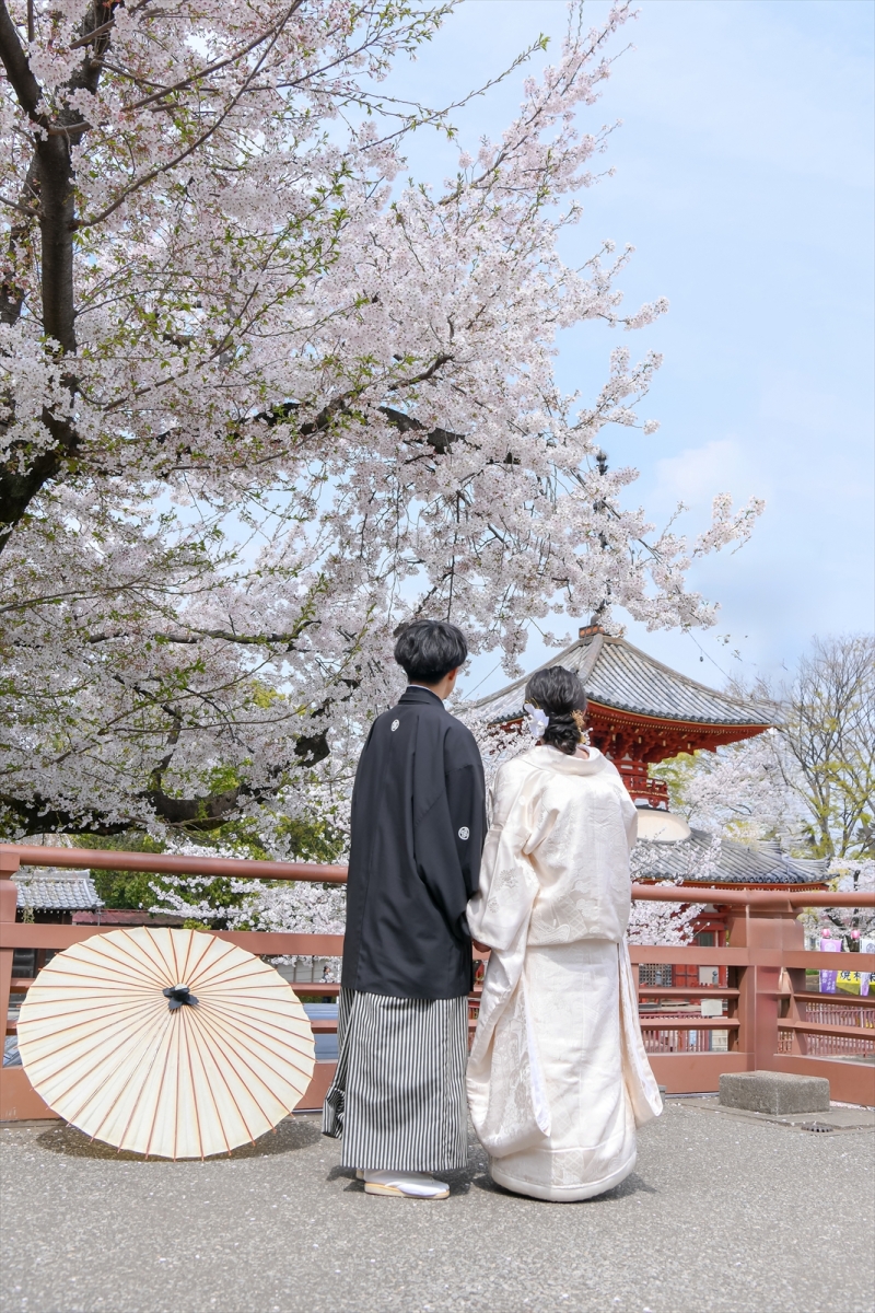 通年通して撮影可能なロケ地
