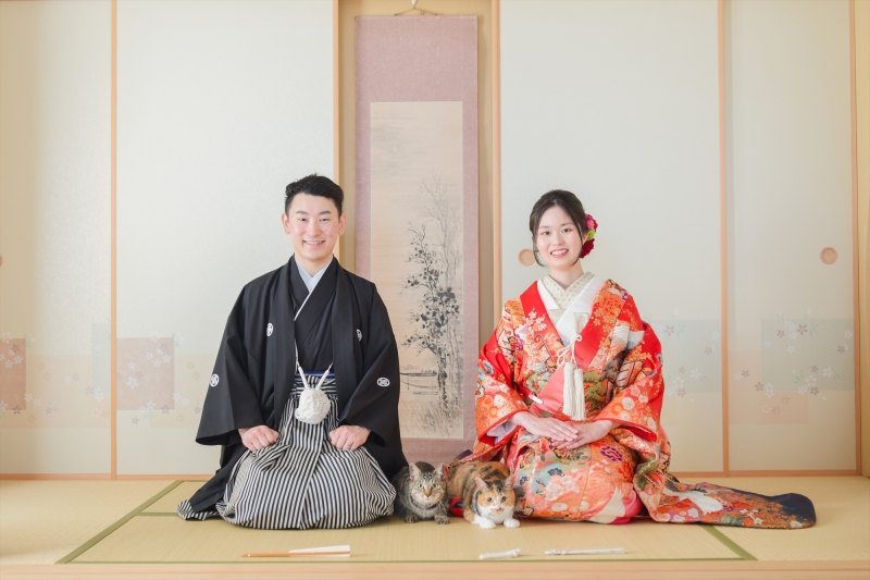 スタジオで猫ちゃんと一緒に