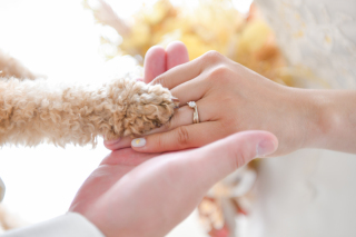 ペットと一緒に撮影もお任せください