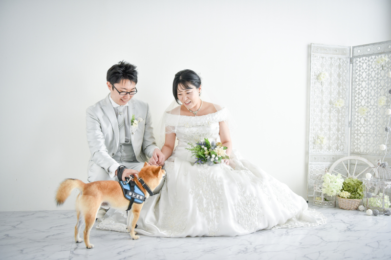 ペットＯＫライトに撮影データ20カット【スタジオ洋装1着プラン】