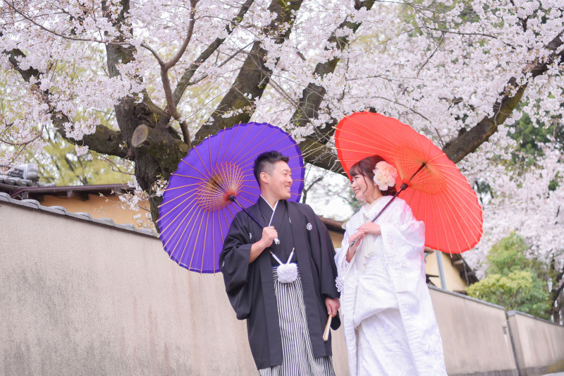 【桜ロケーション＋小江戸データ６0カット付き】198000円