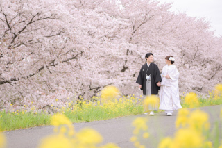 桜ロケーションフォト　レタッチ付き　￥143000