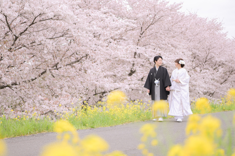 桜ロケーションフォト　レタッチ付き　￥143000