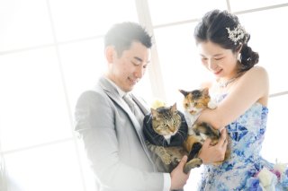 ペットＯＫライトに撮影データ20カット【スタジオ洋装1着プラン】