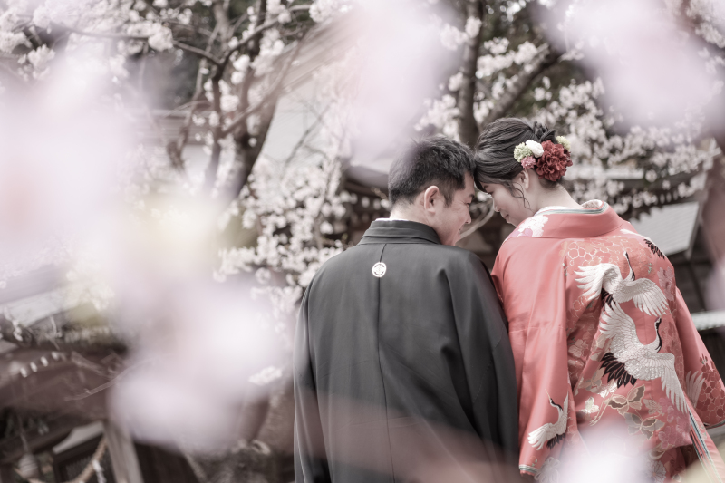 桜ロケーションフォト　レタッチ付き　￥143000